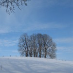 Das Ende des Jahres ist nah, die sechste Rauhnacht hat begonnen