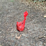 Zwar heben viele Hundebesitzer den Kot ihres Lieblings mit einem Plastikbeutel auf, lassen diesen dann aber einfach im Wald liegen. So war das nicht gedacht!