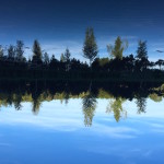 Der Frechensee bei Seeshaupt gehört nicht zu den Osterseen, ist aber nicht minder attraktiv …