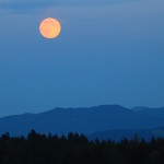 Heute ist der letzte Sommervollmond des Jahres 2015. Beim nächsten Vollmond ist schon Herbst. Zeit um zu reflektieren …