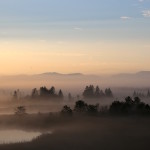 Heute ist, meteorologisch gesehen, der letzte Tag im Sommer. Ein Gedanke, der etwas melancholisch macht …